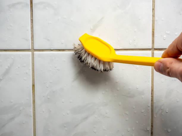 Water Damage Restoration in Suncoast Estates, FL