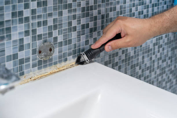 Best Home Mold Removal  in Suncoast Estates, FL